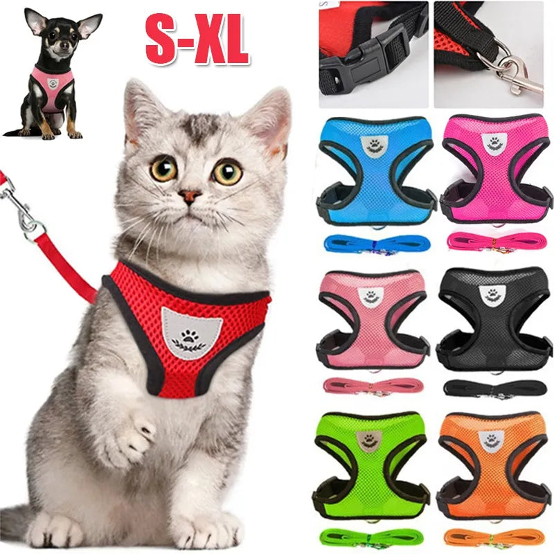 Cat Walking Vest